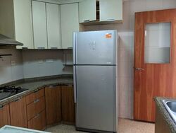 Rafflesia Condominium (D20), Condominium #569339841